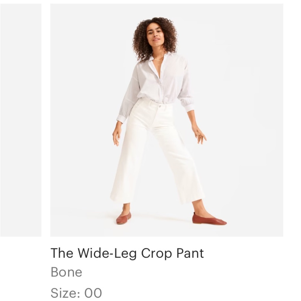 Everlane The Wide-Leg Crop Pant